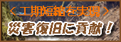 �ЊQ�����ɍv��